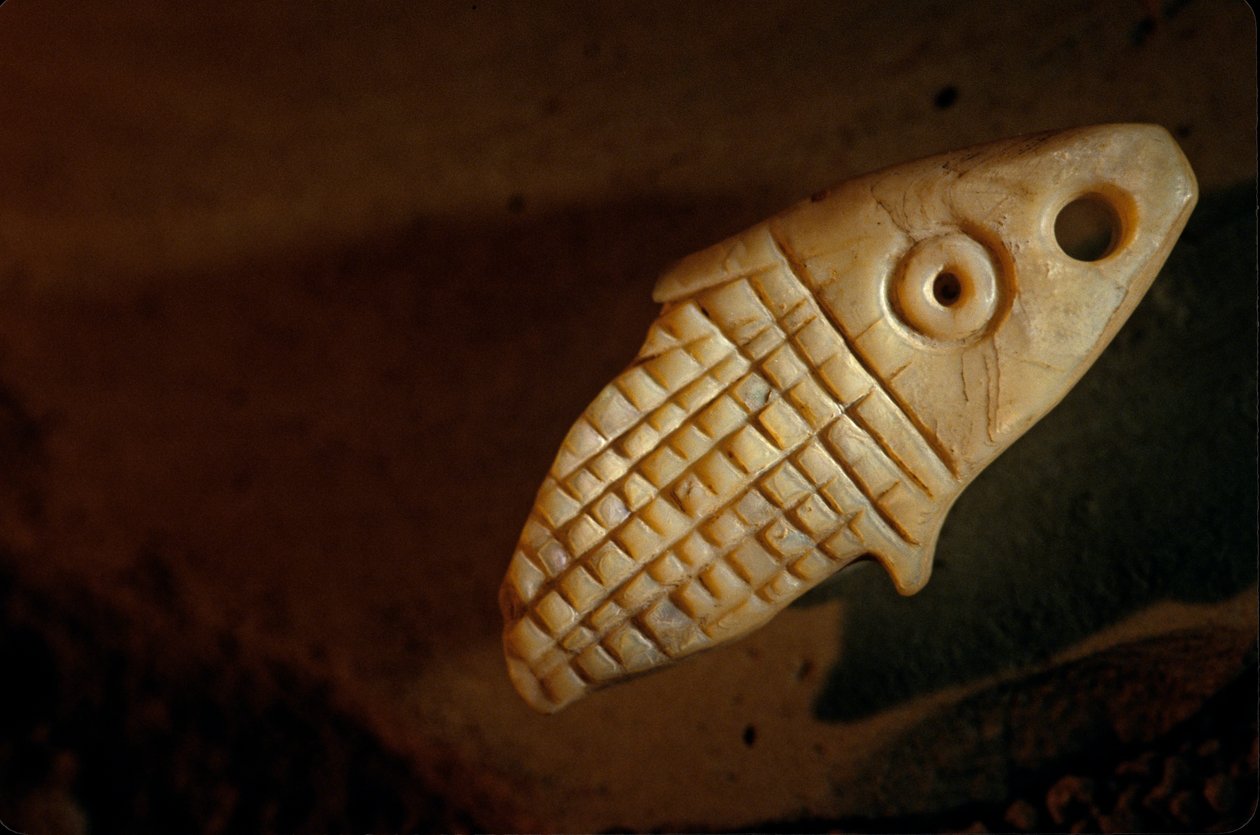 Urkesh, Império Hurriano, Síria, 2400 a.C., Giorgio Buccellati, peixe em madrepérola, 2004 (foto) de Kenneth Garrett