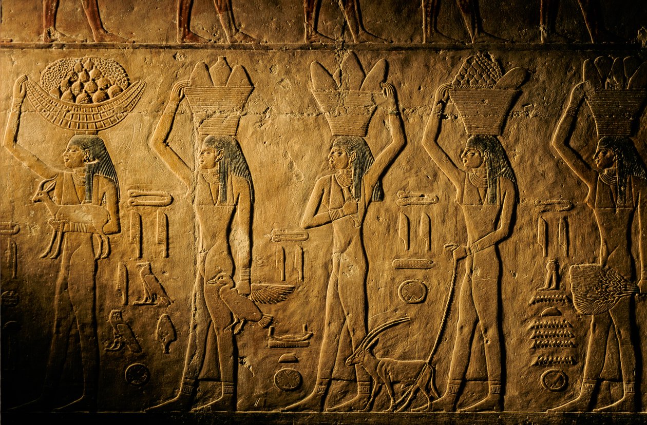 Mulheres transportando pão, aves, cabras e produtos, túmulo de Tiye, Egipto; Antigo Reino; Saqqa... de Kenneth Garrett