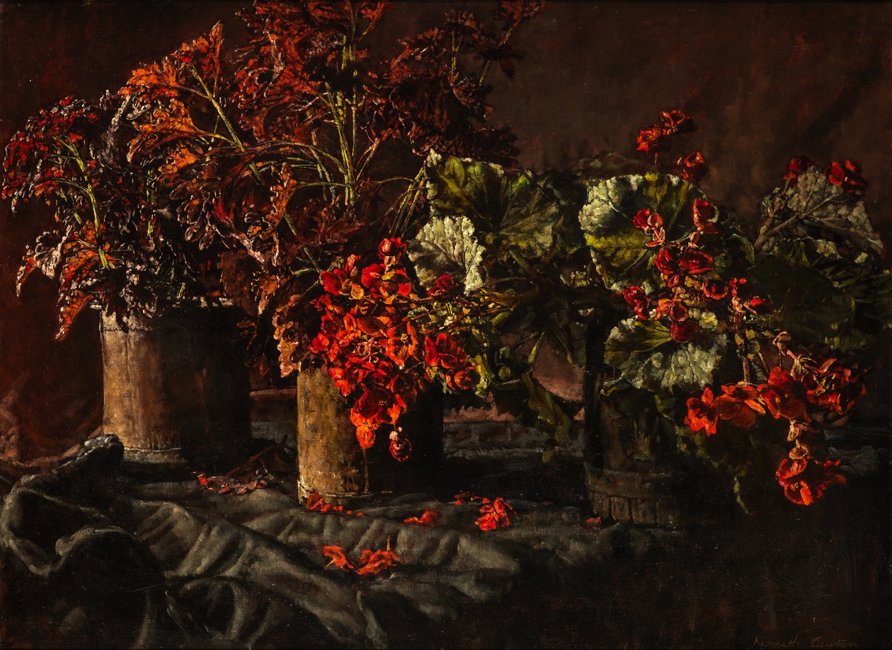 Begônias (óleo sobre tela) de Kenneth Newton