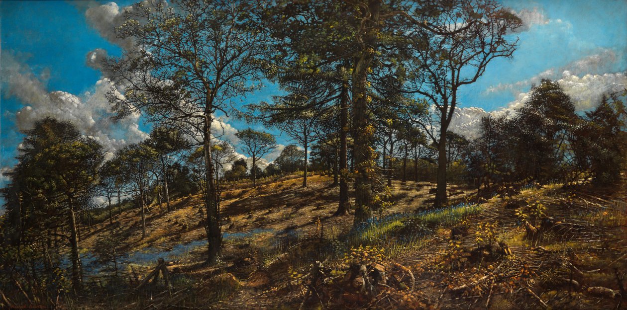 Bigbury Wood (óleo sobre tela) de Kenneth Newton
