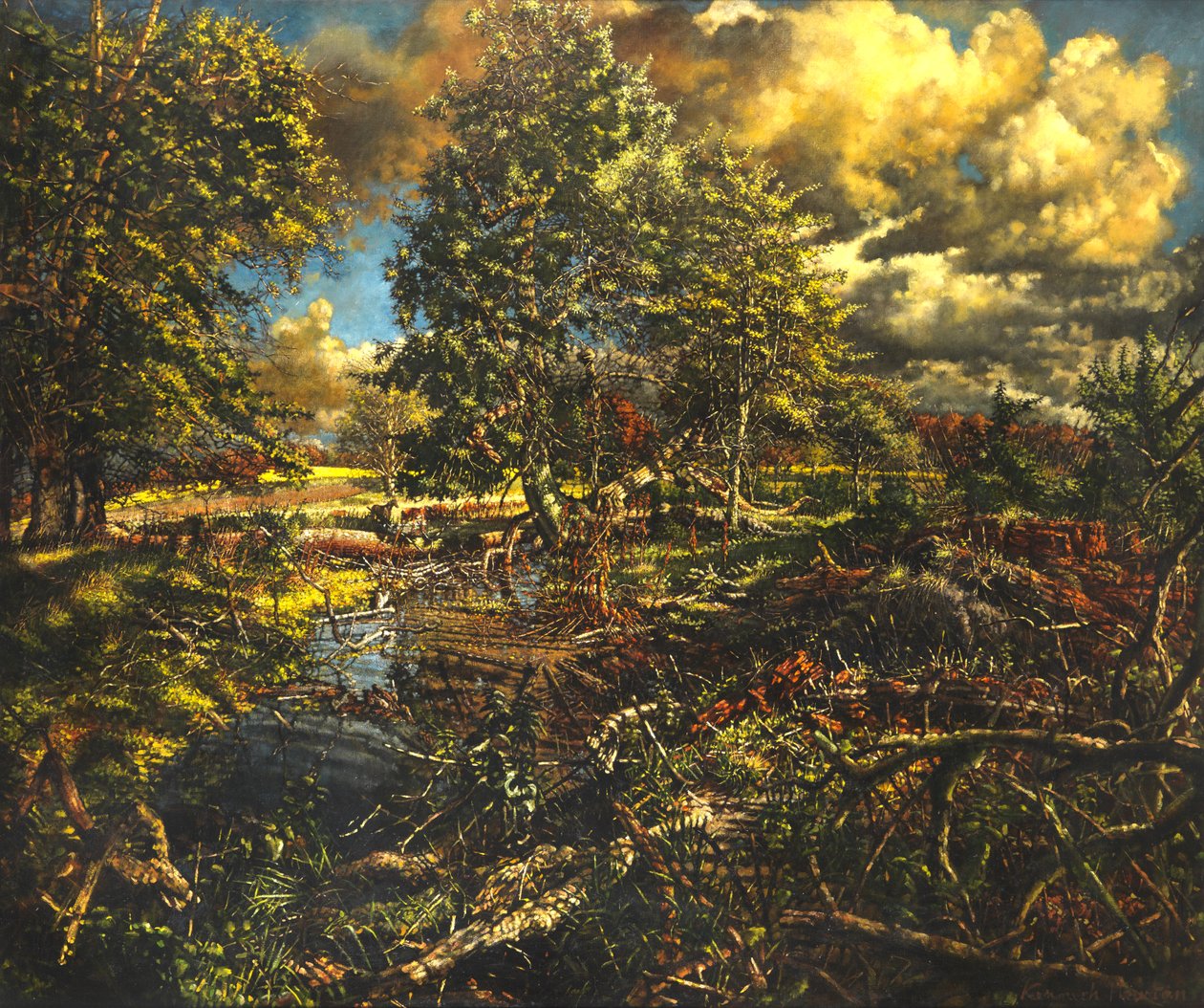 Fluxo de primavera de Nailbourne, Bourne Park de Kenneth Newton