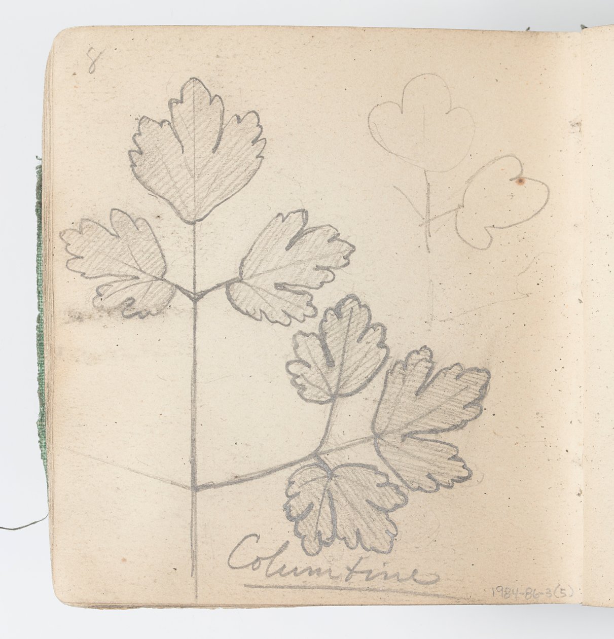 Página do Sketchbook: Columbine de Kenyon Cox