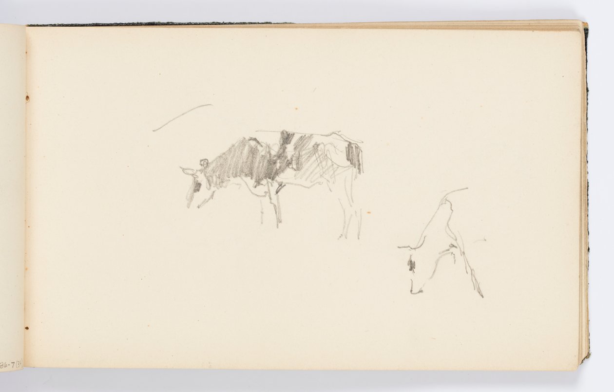 Página do Sketchbook: Vacas pastando de Kenyon Cox