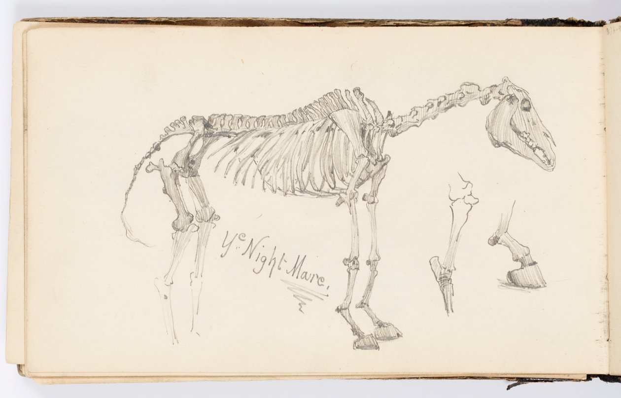 Página do Sketchbook: Ye Night Mare de Kenyon Cox