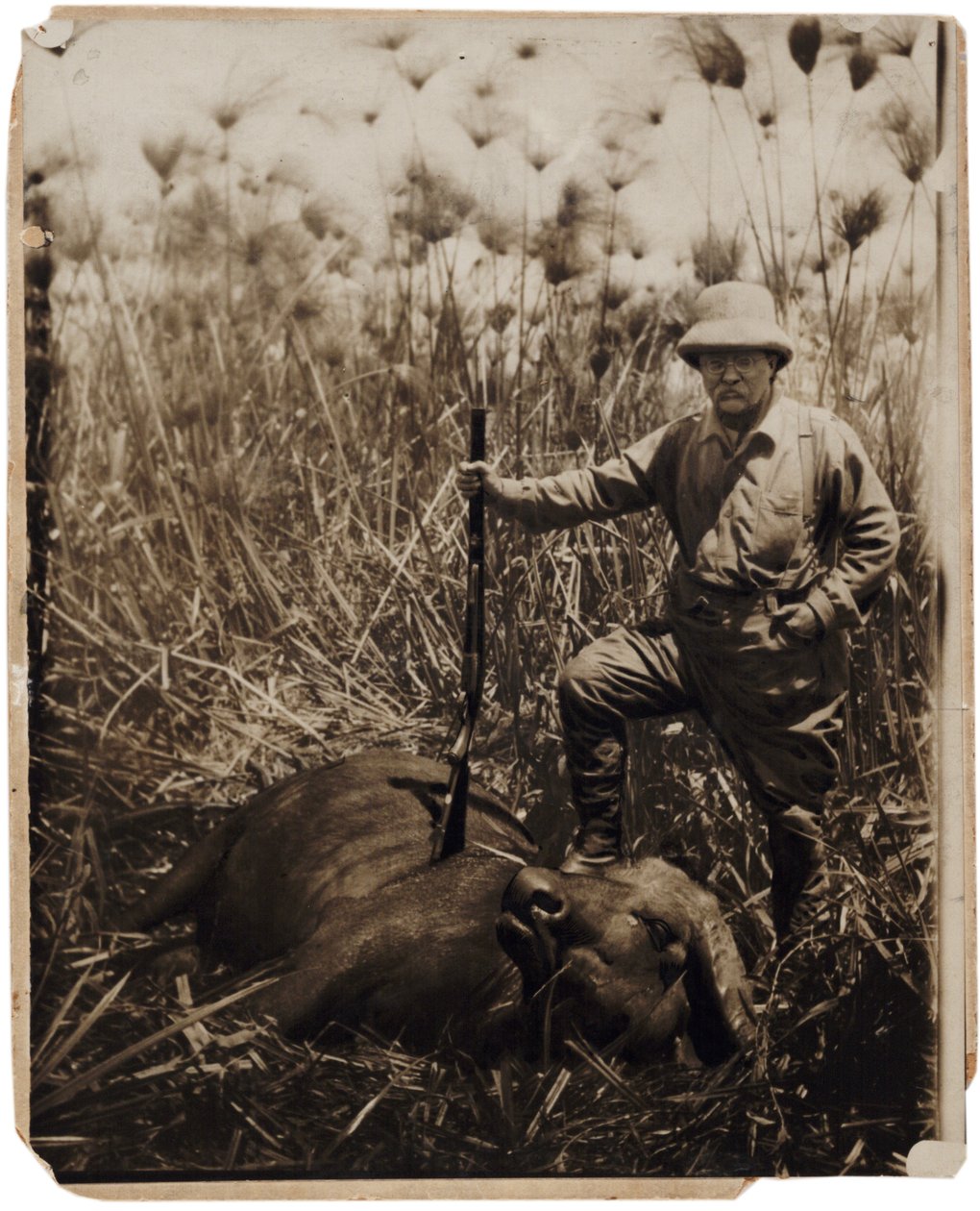 Coronel Roosevelt de pé ao lado de um búfalo de água que ele atirou (foto sépia) de Kermit Roosevelt