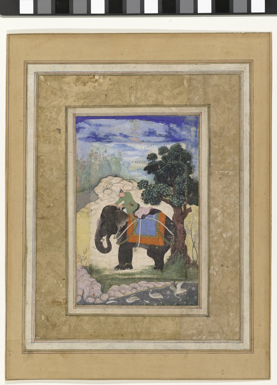 Elefante e cavaleiro Elefante com cavaleiro de Keshavdas (possibly)