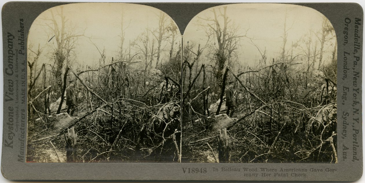Horizontal, sepia stereocard mostrando um homem uniformizado andando por uma área coberta com árvores destruídas. Número de estereógrafo Keystone V18948. O título lê de Keystone View Company