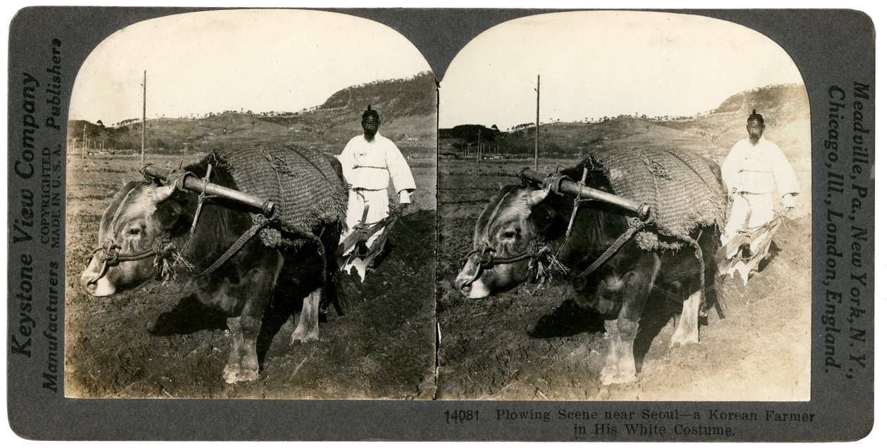 Cultivo perto de Seul, Coréia do Sul, anos 1900. de Keystone View Company