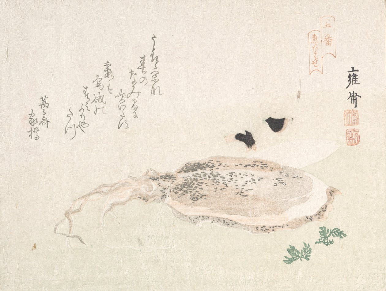 Cuttle Fish, início do século XIX. de Kikuchi Yosai
