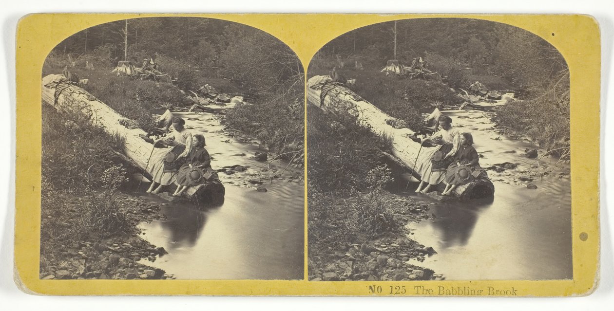 The Babbling Brook, 185575. Criadores: Kilburn Brothers, BW Kilburn. de Kilburn Brothers, BW Kilburn
