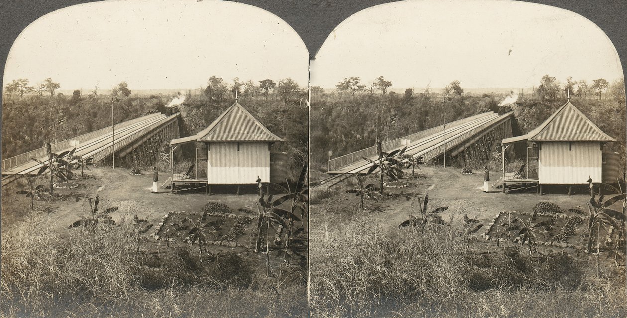 Grupo de 14 estereógrafos de África e Actores, 1850-1910s. de Kilburn Brothers