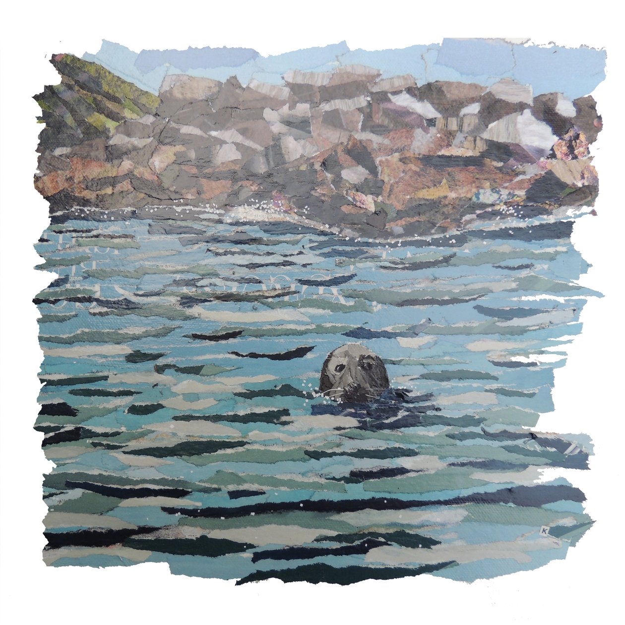 Seal Island de Kirstie Adamson