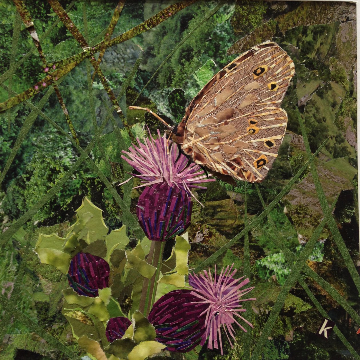 Flit - sátiro borboleta no cardo de Kirstie Adamson