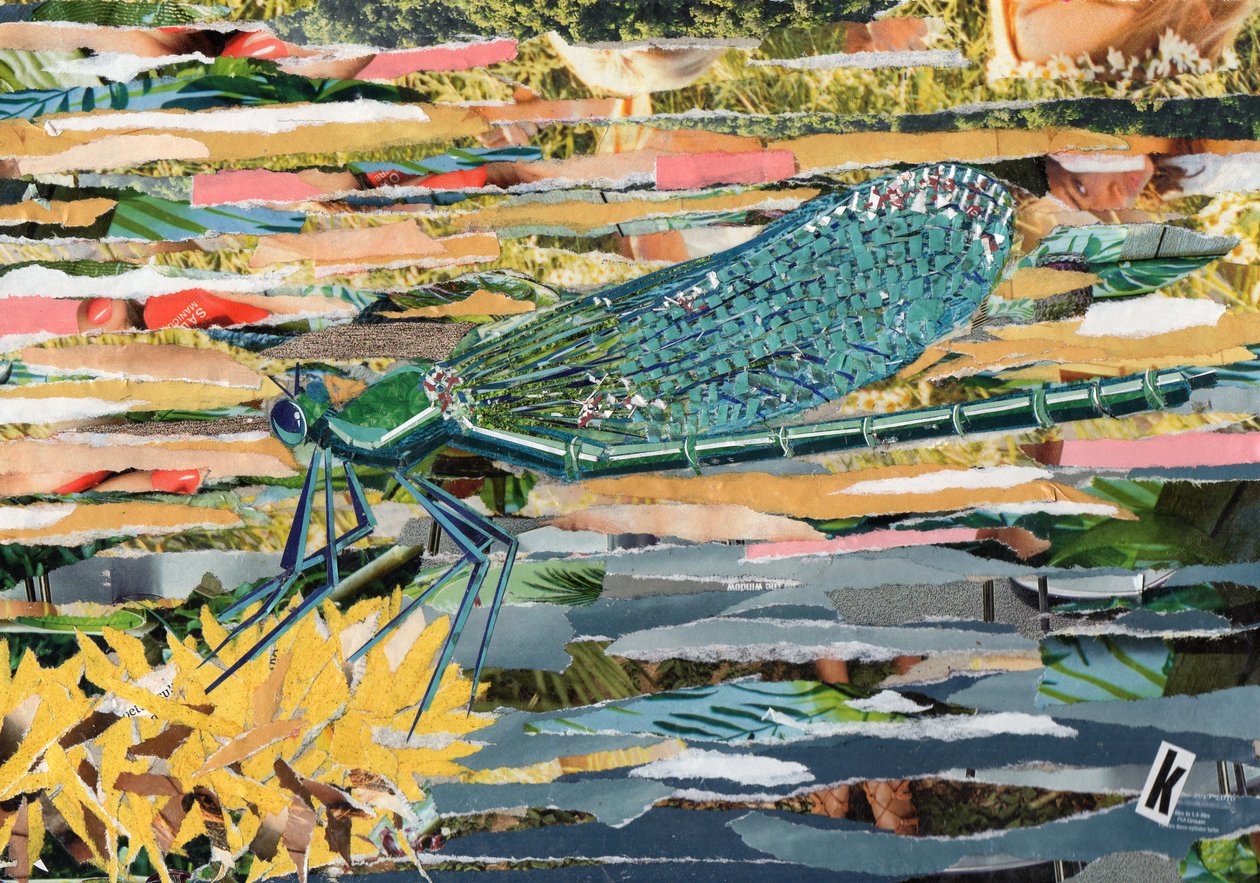 Libélula verde de Kirstie Adamson