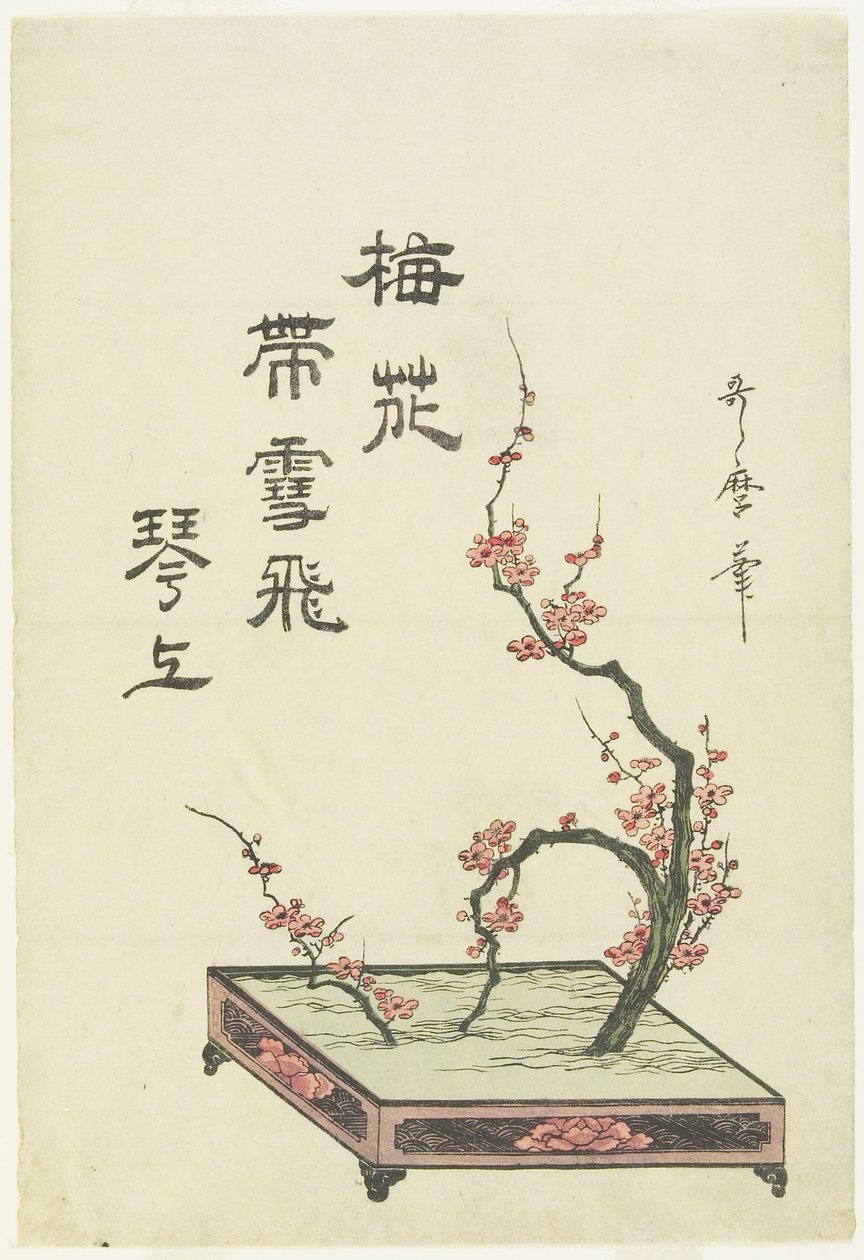 (Arranjo de flores de ameixa) de Kitagawa Utamaro