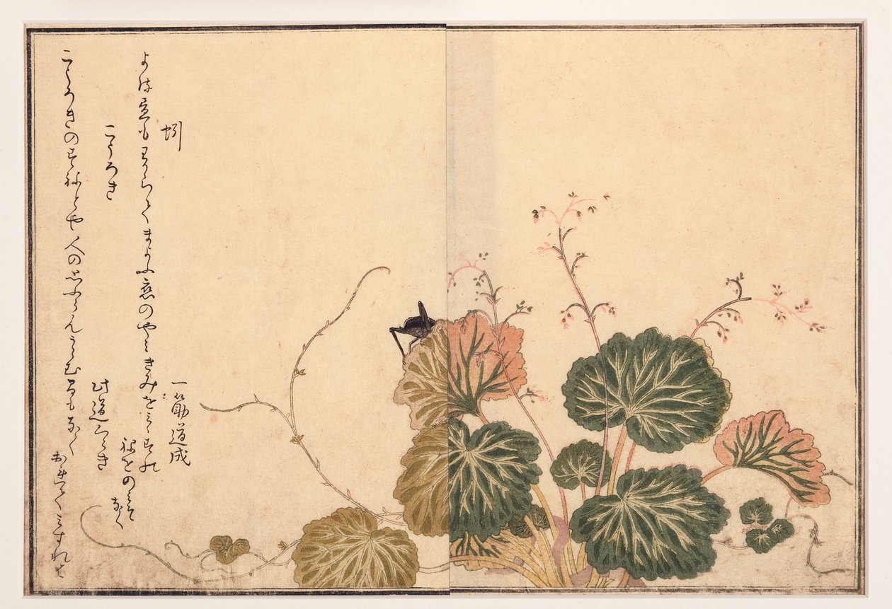 Minhoca e grilo preto, 1788 (xilogravura) de Kitagawa Utamaro
