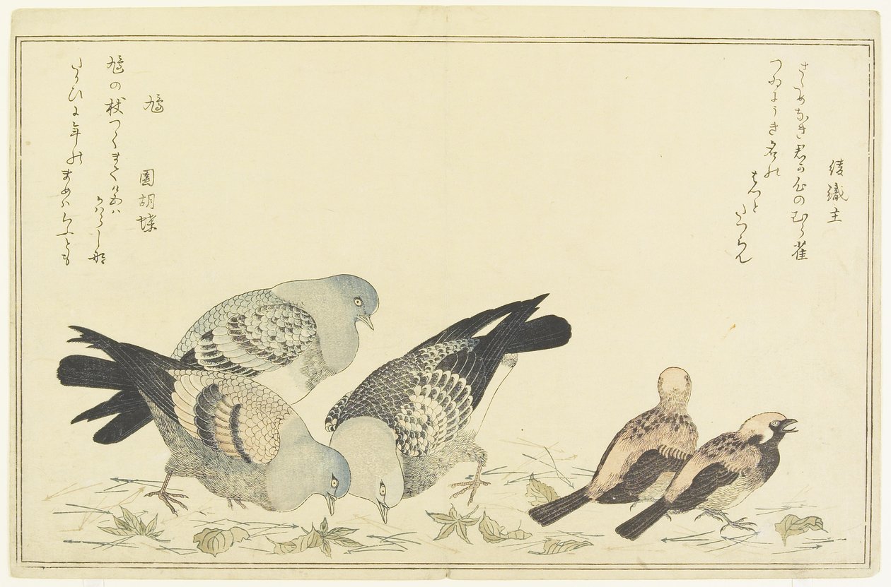 Pardal de árvore e pomba do rock, c. 1790 de Kitagawa Utamaro