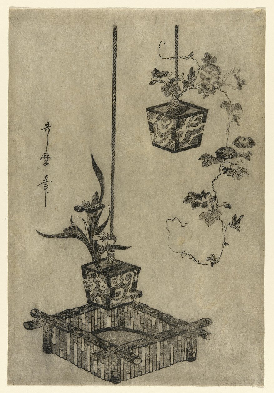 Arranjos de íris e glórias da manhã de Kitagawa Utamaro