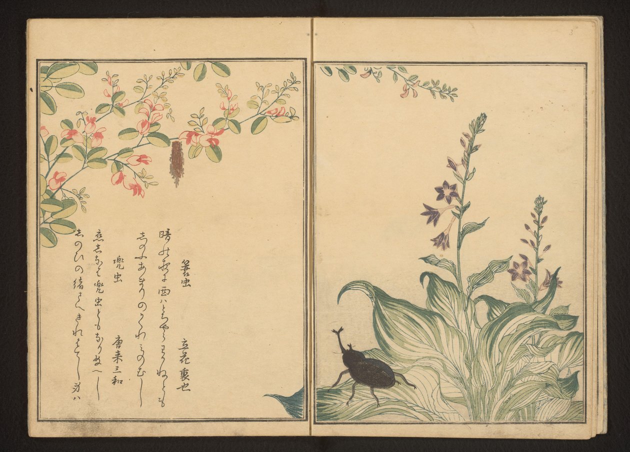 Basketworm e elmo no trevo de arbusto e flor de alho-poró de Kitagawa Utamaro