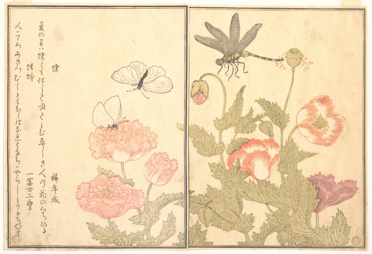 Borboleta (Chō); Libélula (Kagerō ou Tonbo), do Livro ilustrado de criaturas rastejantes (Ehon mushi erami) de Kitagawa Utamaro