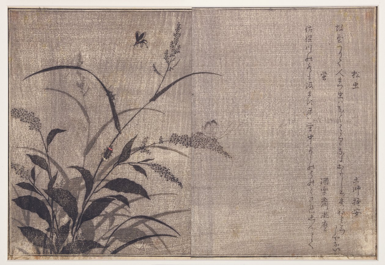 Críquete e vaga-lumes, 1788 (xilogravura) de Kitagawa Utamaro