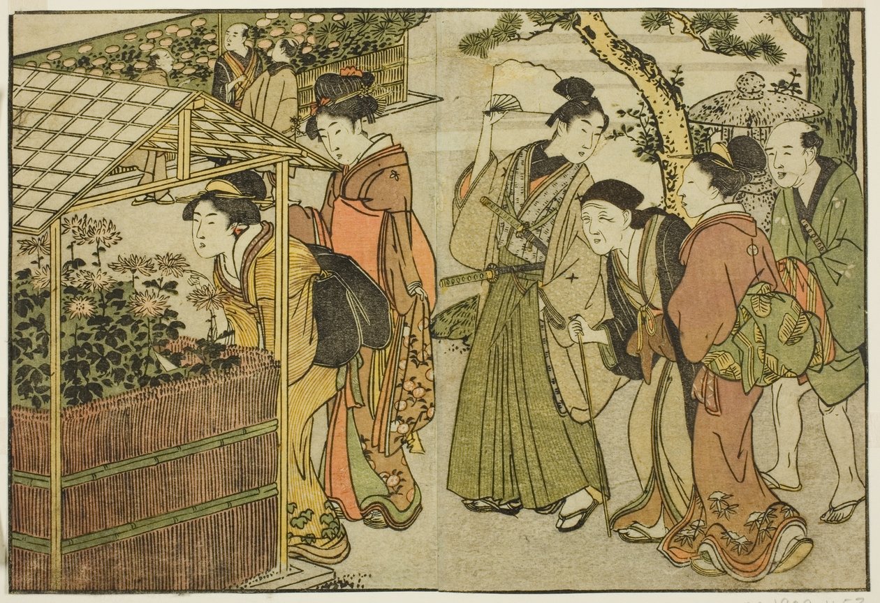 Exibição de Crisântemos, do livro ilustrado "Livro de Imagens: Flores das Quatro Estações (Ehon shiki no hana)", vol. 2 de Kitagawa Utamaro