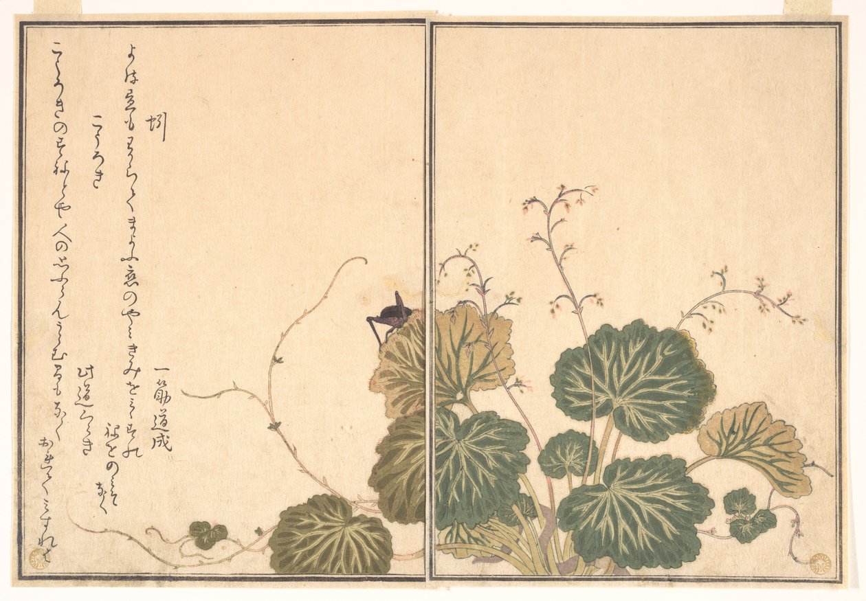 Minhoca (Mimizu); grilo (Kōrogi), do Livro ilustrado de criaturas rastejantes (Ehon mushi erami) de Kitagawa Utamaro