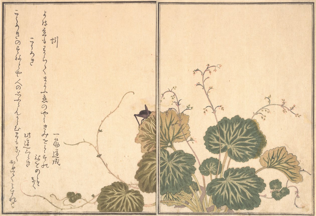 Minhoca Mimizu, Cricket Korogi..., 1788. de Kitagawa Utamaro
