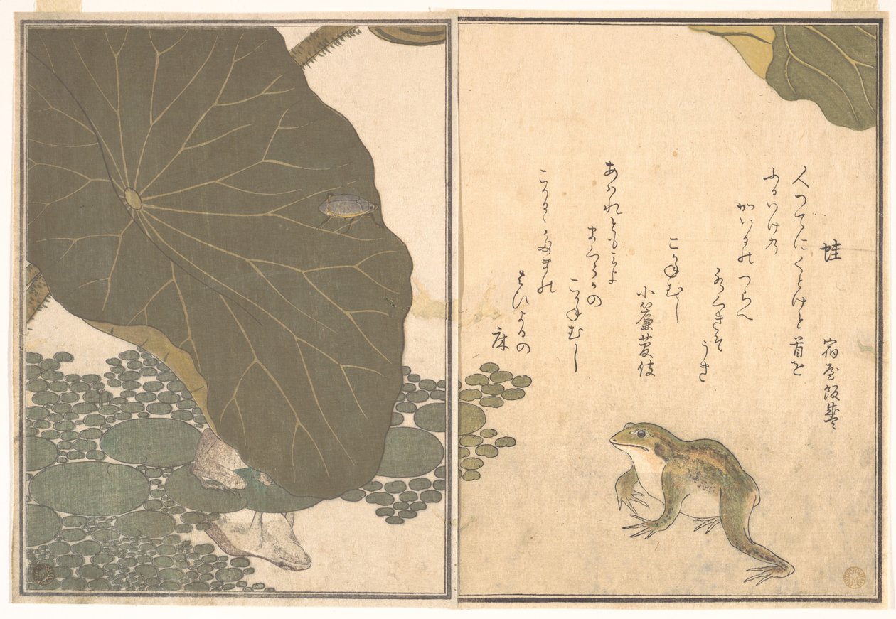 Rã (Kaeru); escaravelho-dourado (Kogane mushi), do Livro ilustrado de criaturas rastejantes (Ehon mushi erami) de Kitagawa Utamaro