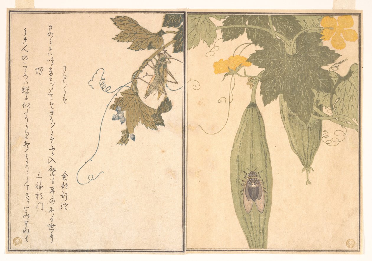 Gafanhoto (Kirigirisu); cigarra (Semi), do Livro ilustrado de criaturas rastejantes (Ehon mushi erami) de Kitagawa Utamaro