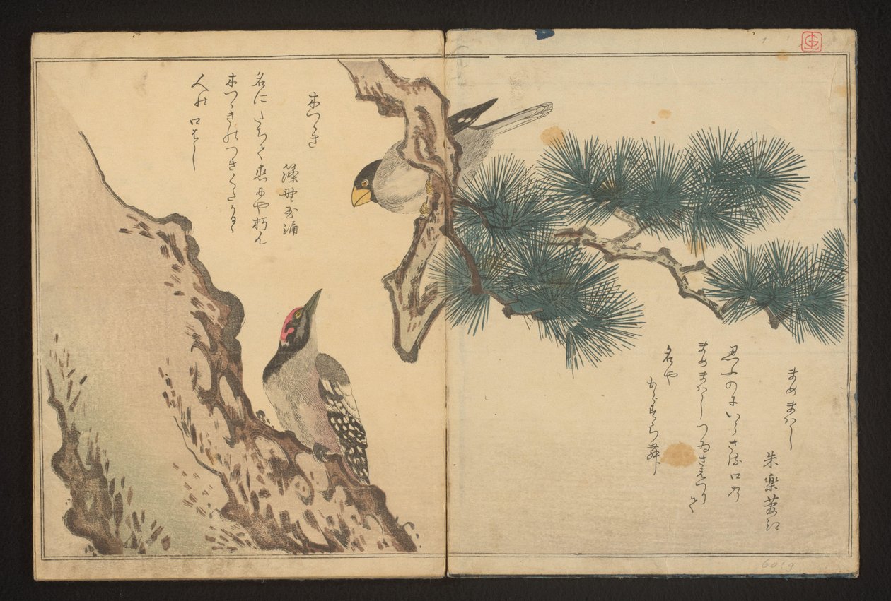 Grosbeak e pica-pau de Kitagawa Utamaro