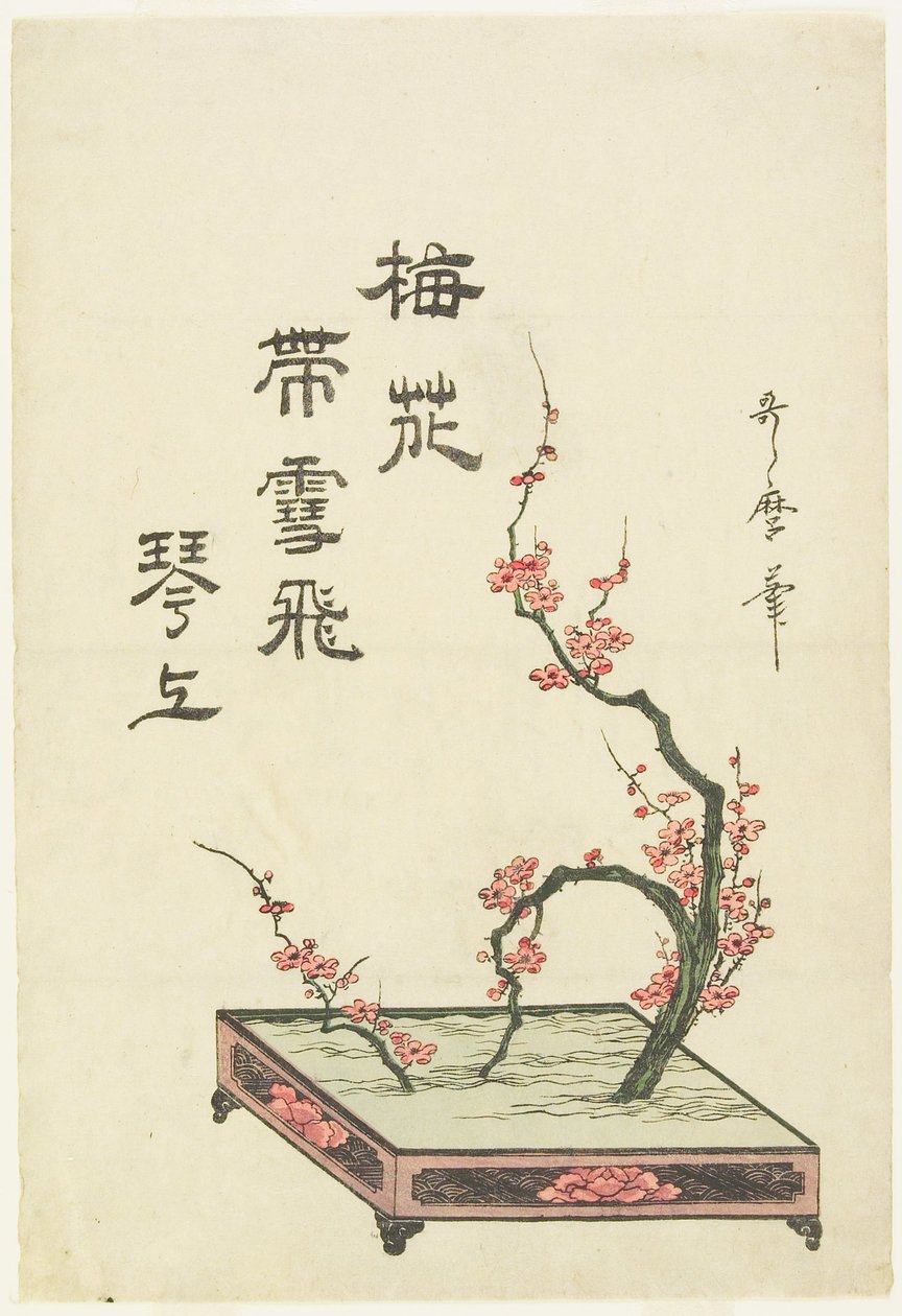 Arranjo de ikebana com um ramo de ameixeira de Kitagawa Utamaro