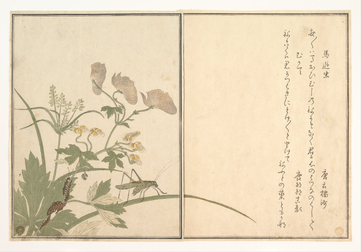 Gafanhoto (Umaoi-mushi); Centopeia (Mukade), do livro ilustrado «Criaturas Rastejantes» (Ehon mushi erami) de Kitagawa Utamaro