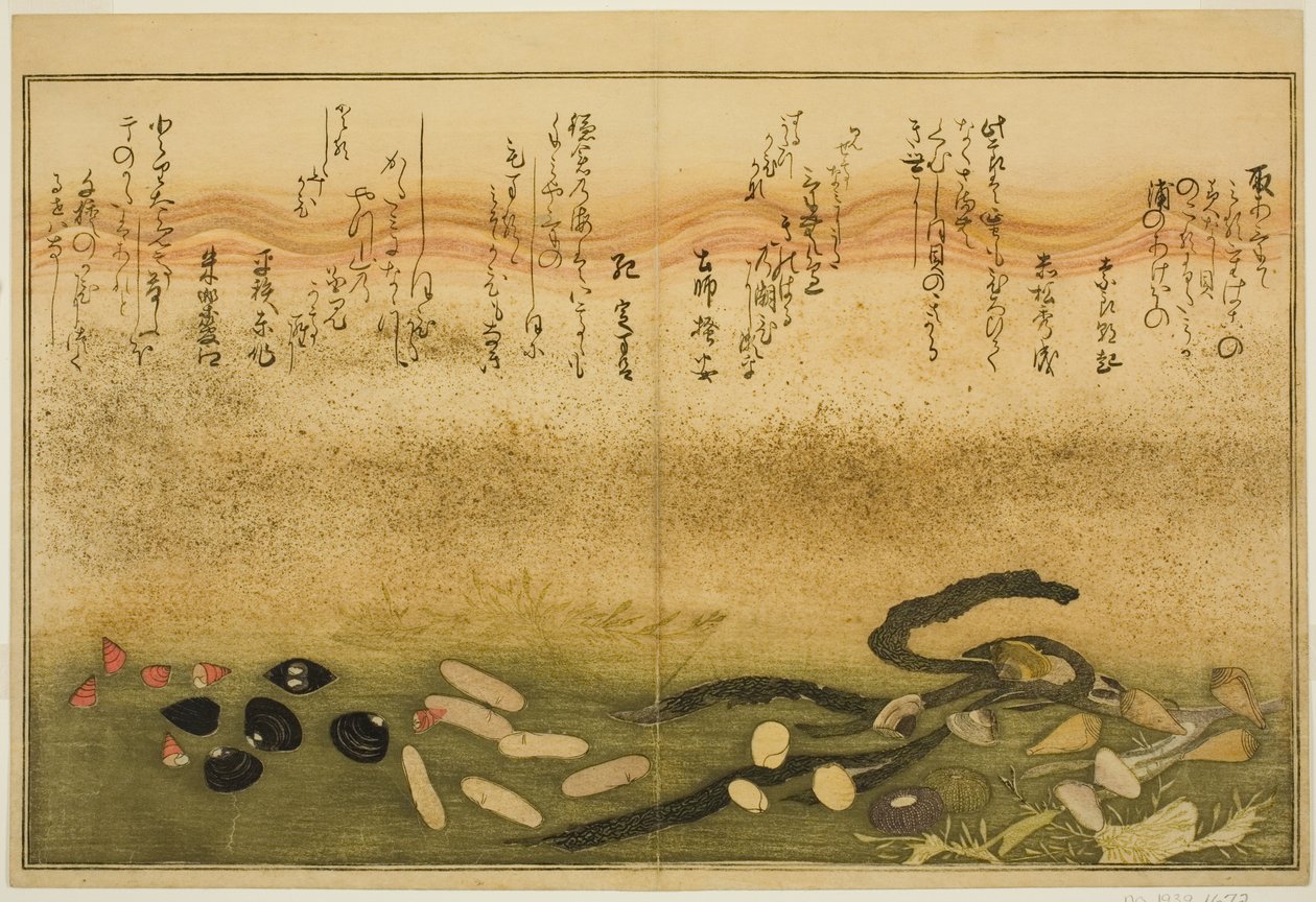 Minasshi por fora, sal por fora, molde dois por fora, missô por fora, Jimmy moído por dentro, ideia d Chigusa por fora, do tee st latte brácteas da maré)” de Kitagawa Utamaro