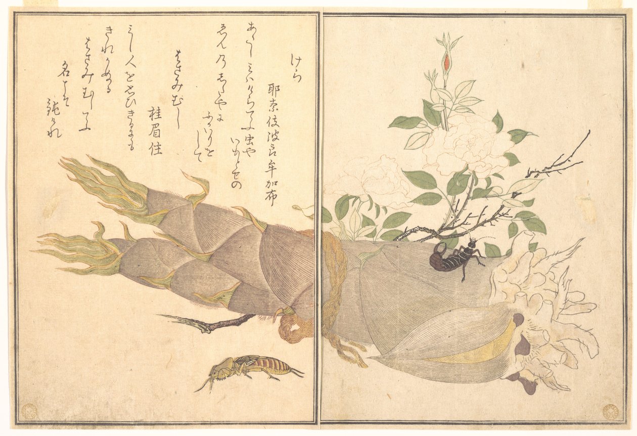 Grilo-toupeira (Kera); Tesourinha (Hasami-mushi), do livro ilustrado «Criaturas Rastejantes» (Ehon mushi erami) de Kitagawa Utamaro
