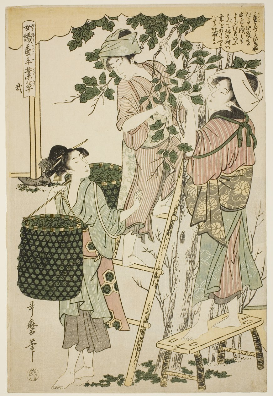 Nº 2 (ni), da série "Mulheres engajadas na indústria da sericultura (Joshoku kaiko tewaza-gusa)" de Kitagawa Utamaro
