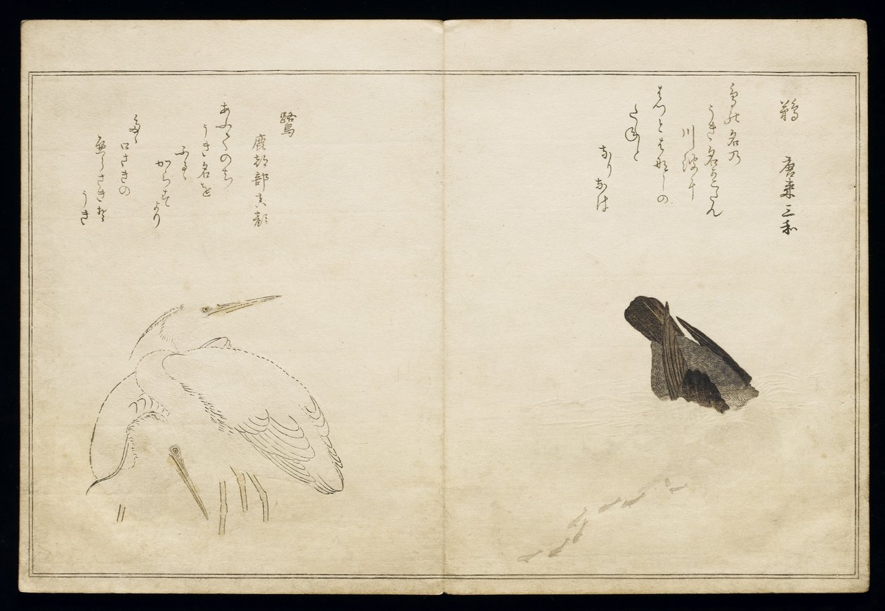 P.332-1946 Vol.1 f.4 Kormoran rechts und zwei Schneereier links, aus einem Album 
