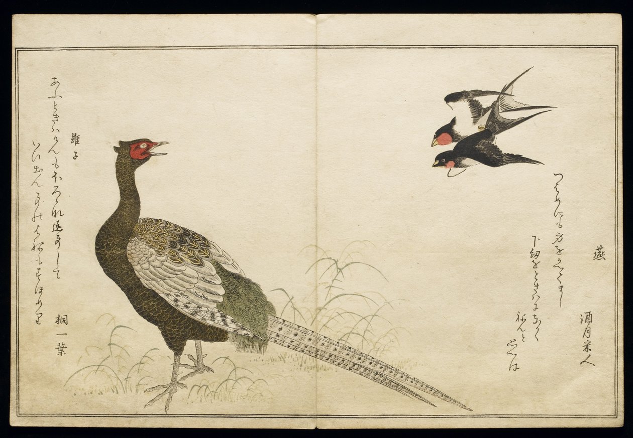 P.332-1946 Vol.1 f.6 Par de Chimney Swallows e um Green Pheasant, do álbum &39;Birds comparison in Humorous Songs&39;, 1791 (impressão em xilogravura a cores) de Kitagawa Utamaro