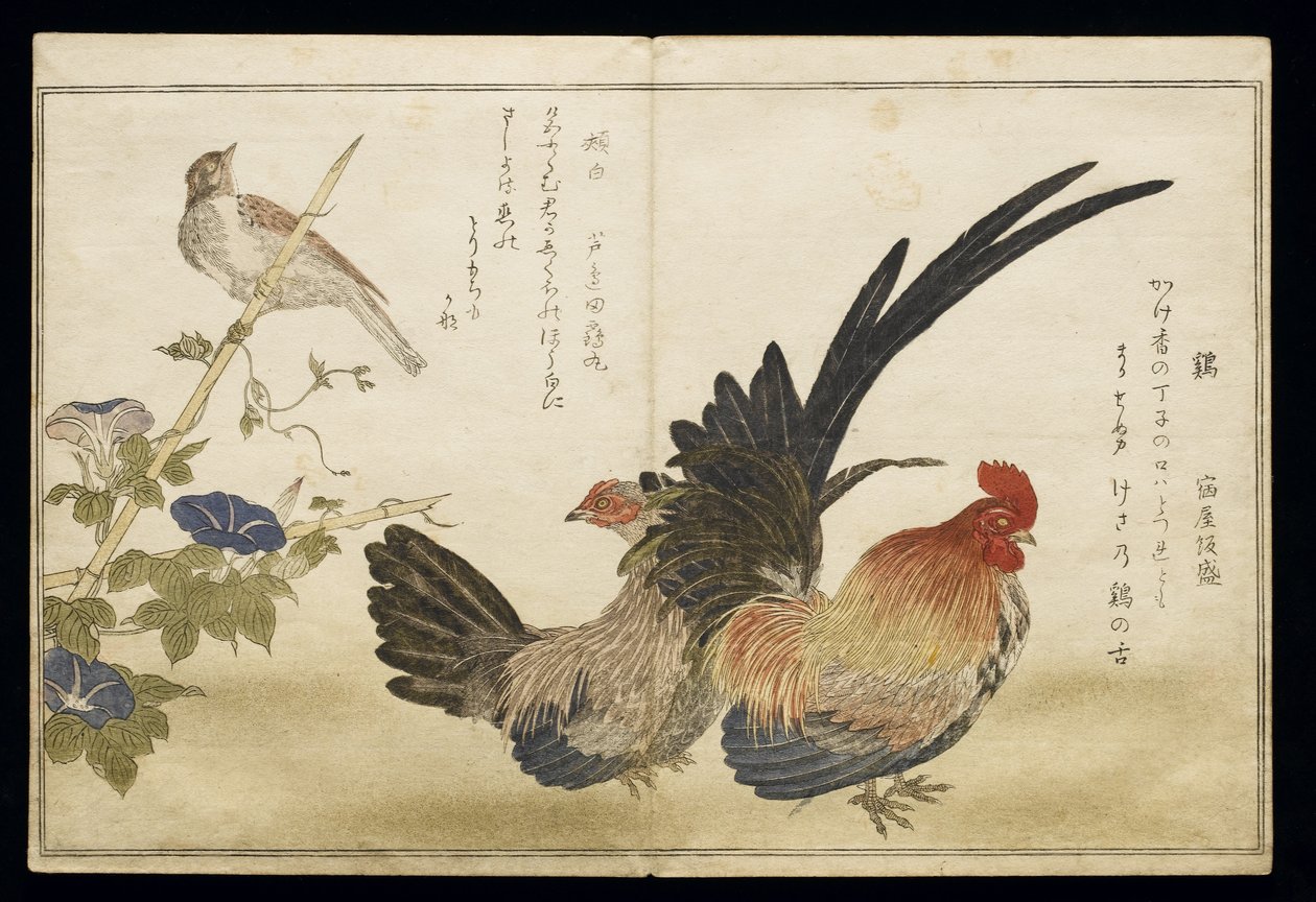 P.332-1946 Vol.1 f.8 Galo e Galinha à direita com um Bunting à esquerda, do álbum &39;Birds comparison in Humorous Songs&39; (&39;Momo Chidori Kyoka Awase&39;), 1791 (impressão em xilogravura a cores) de Kitagawa Utamaro