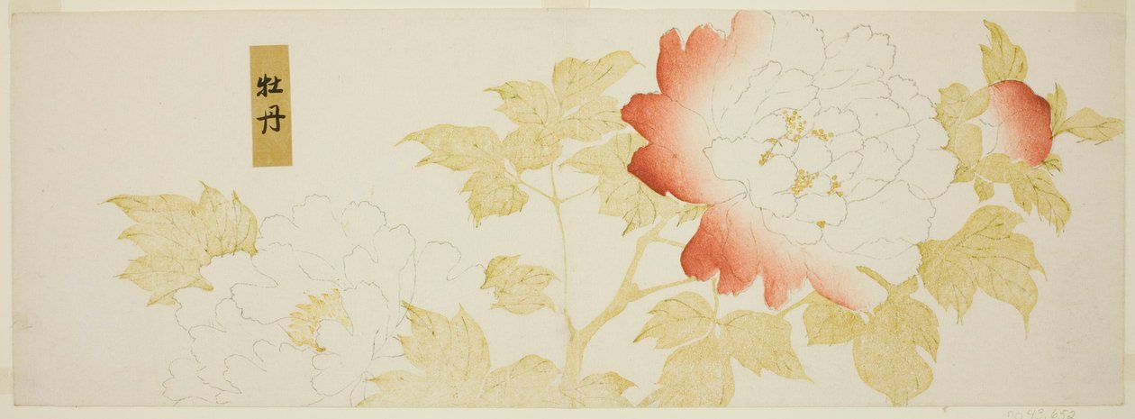 Peônias de Kitagawa Utamaro