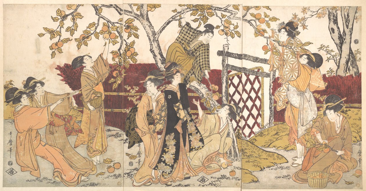 Apanha de dióspiros de Kitagawa Utamaro