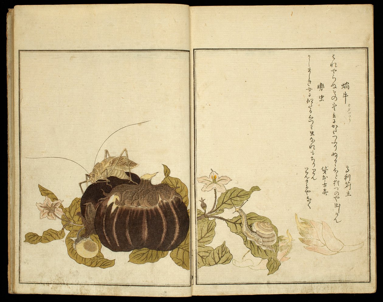 Livro ilustrado: Insectos selecionados (Ehon mushi erabi) de Kitagawa Utamaro