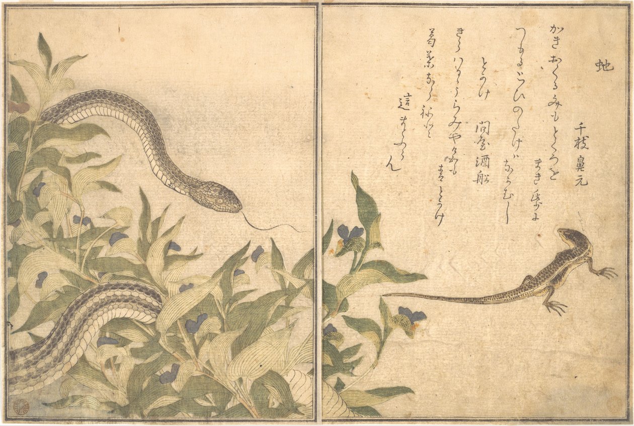 Cobra-rato (Hebi); lagarto ou escinco (Tokage), do Livro ilustrado de criaturas rastejantes (Ehon mushi erami) de Kitagawa Utamaro