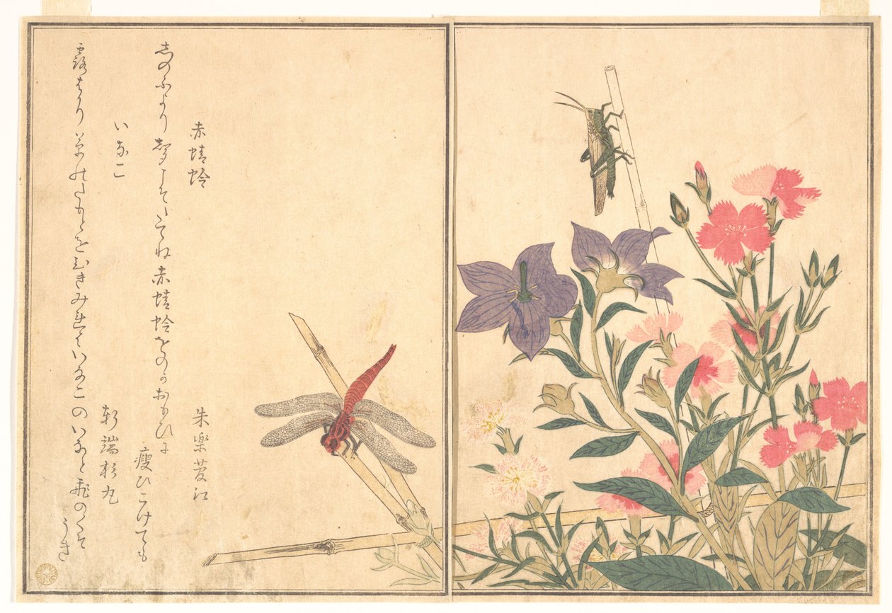 Libélula Vermelha (Akatonbo); Gafanhoto (Inago), do livro ilustrado «Criaturas Rastejantes» (Ehon mushi erami) de Kitagawa Utamaro