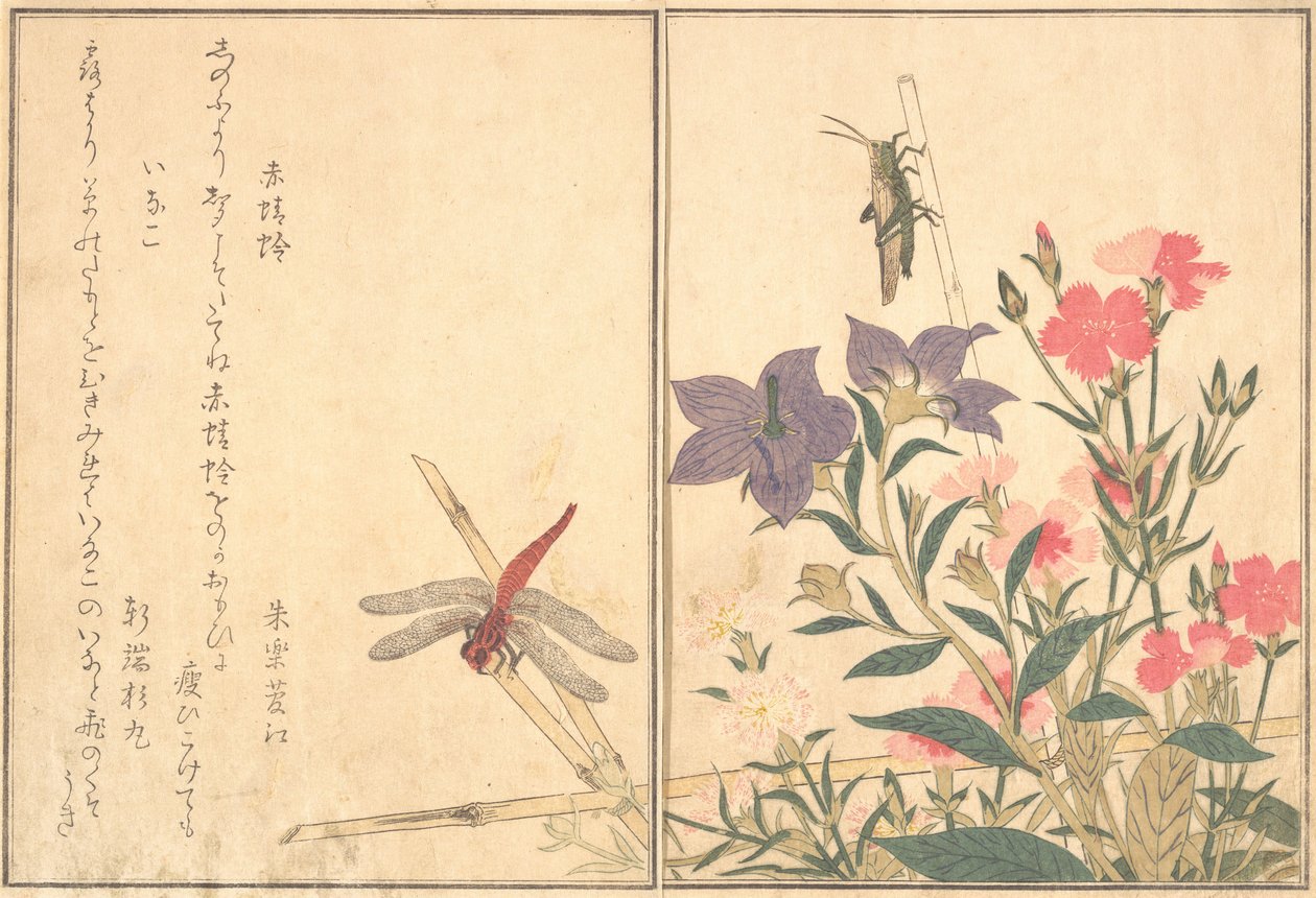 Libélula Vermelha Akatonbo, Gafanhoto Inago..., 1788. de Kitagawa Utamaro