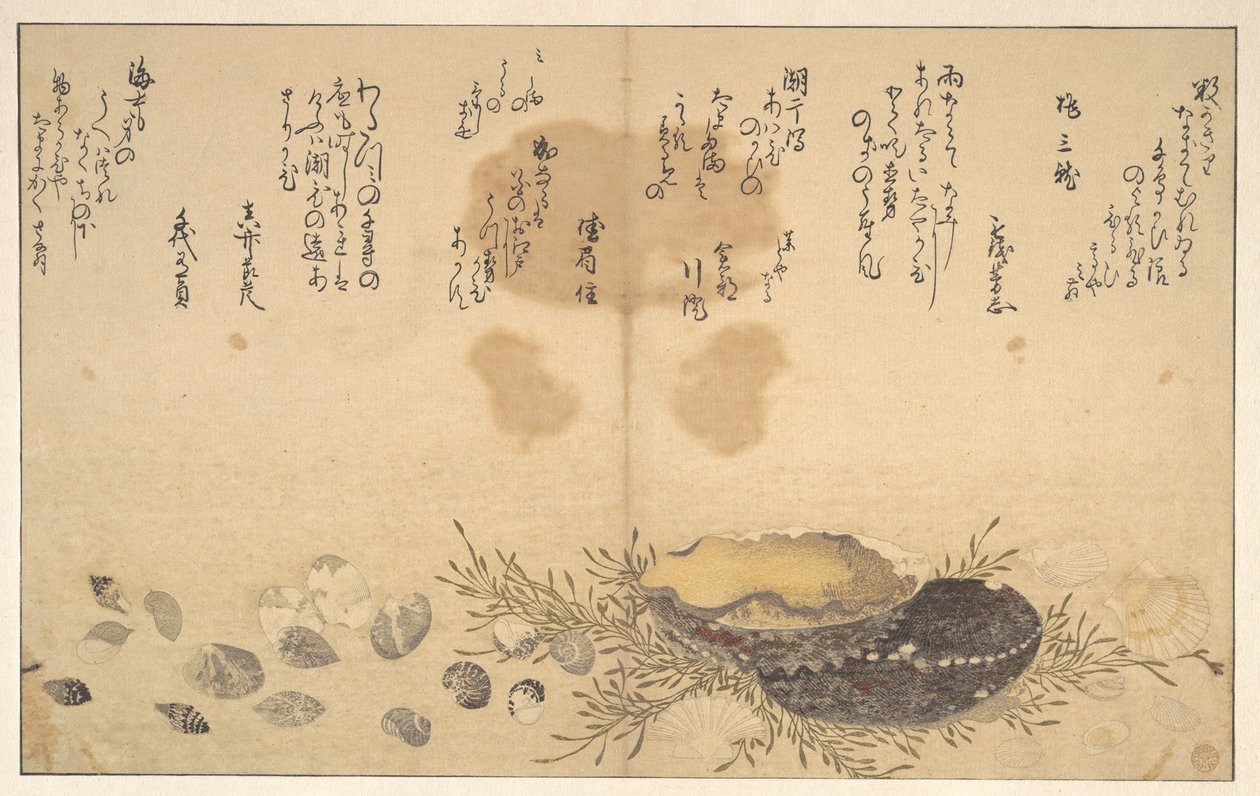 Conchas debaixo de água de Kitagawa Utamaro