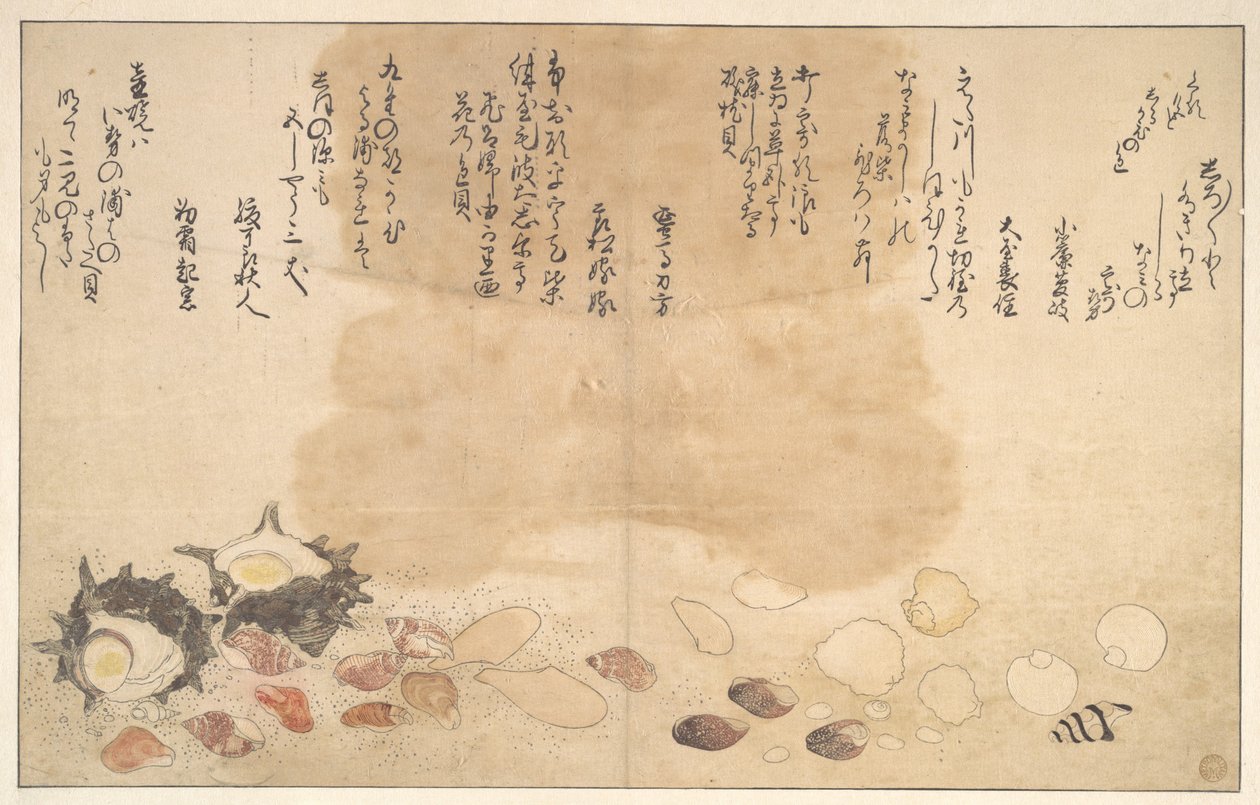 Conchas debaixo de água de Kitagawa Utamaro
