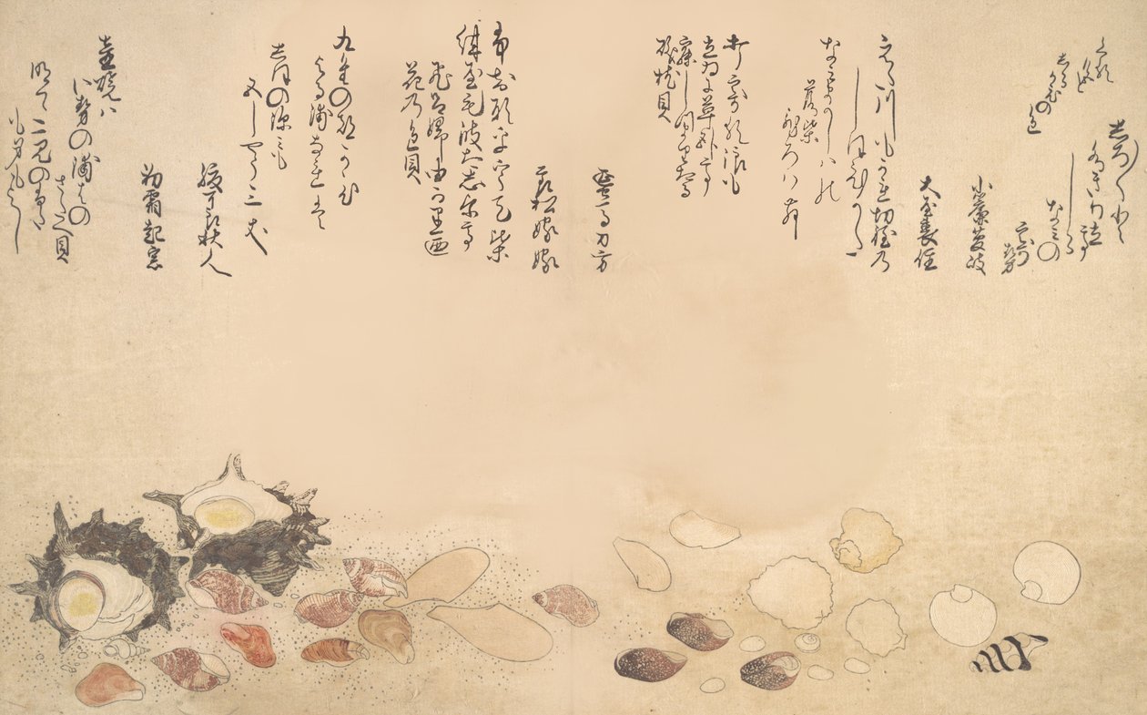 Conchas debaixo de água, 1790. de Kitagawa Utamaro