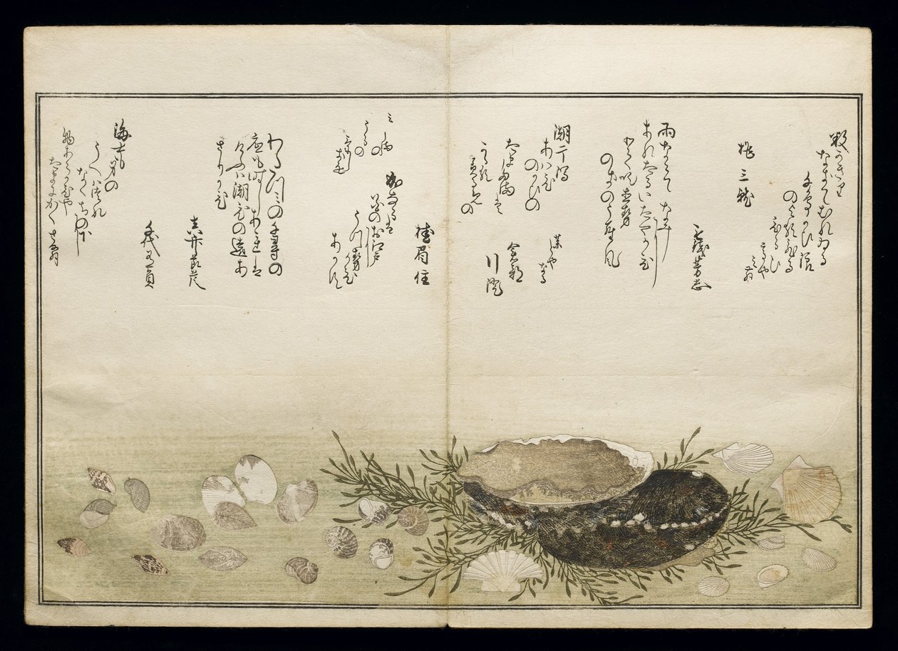 Shiohi no tsuto (Presentes da Ebb Tide), conhecido como o livro Shell, 1789 (impressão em xilogravura a cores) de Kitagawa Utamaro