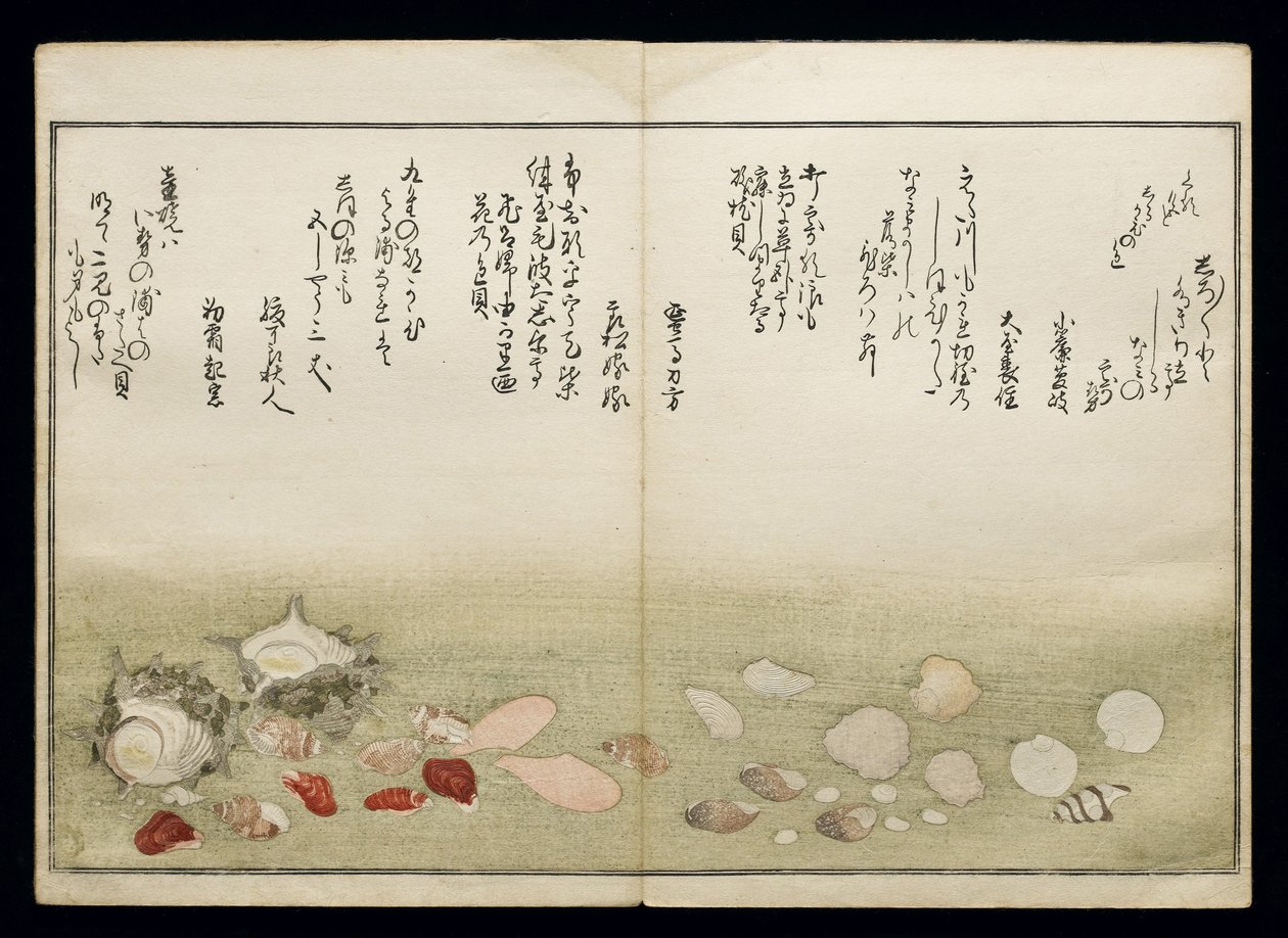 Shiohi no tsuto (Presentes da Ebb Tide), conhecido como o livro Shell, 1789 (impressão em xilogravura a cores) de Kitagawa Utamaro